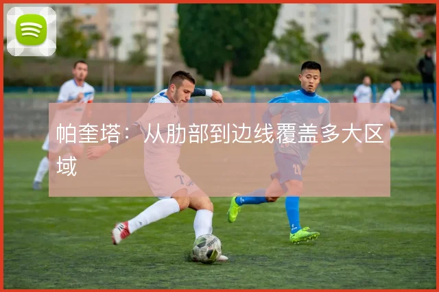 帕奎塔:从肋部到边线覆盖多大区域