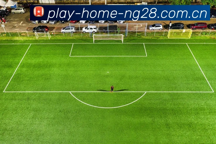 NG28APP 封面图